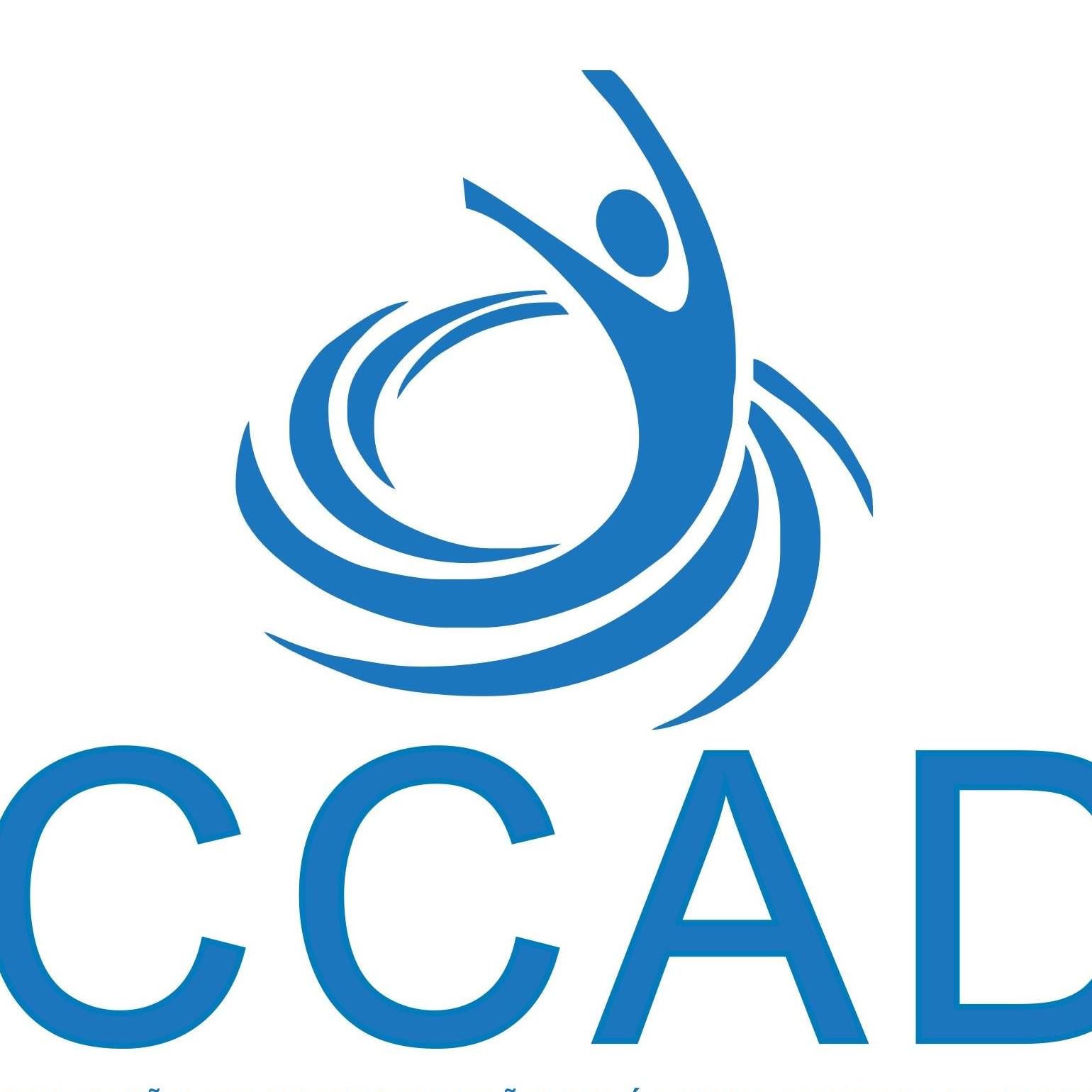 Comissão de Combate a álcool e outras drogas